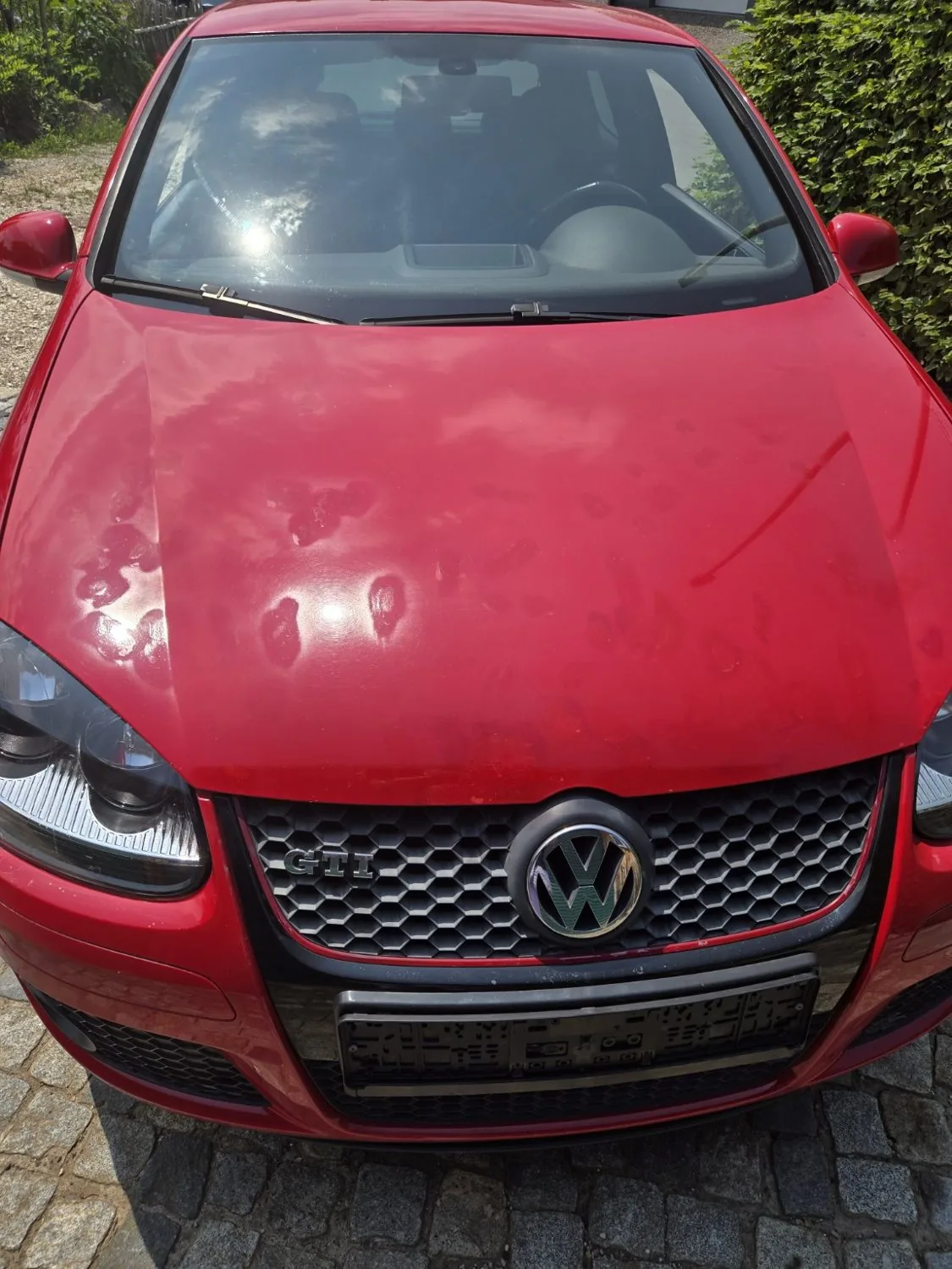Lackzustand der Motorhaube